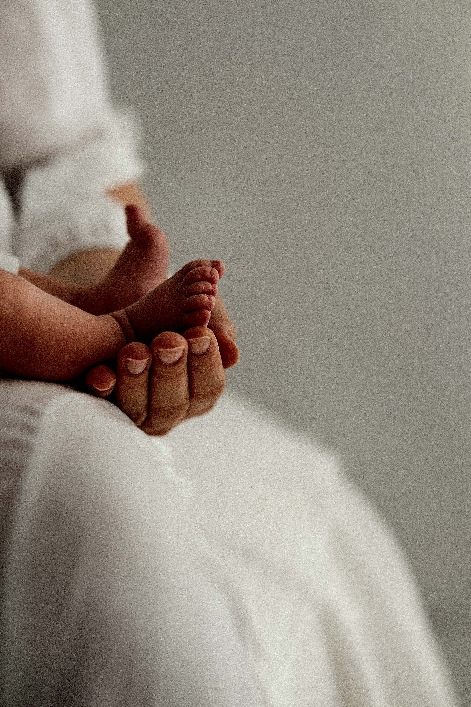 Aile Fotoğrafı